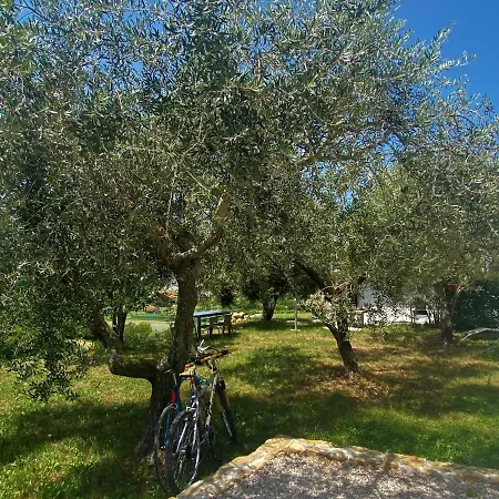 Depandance Fiore Apartman Portorož